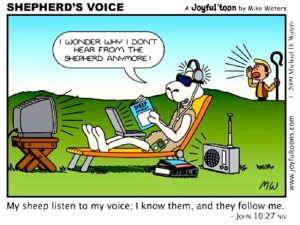 shephereds-voice